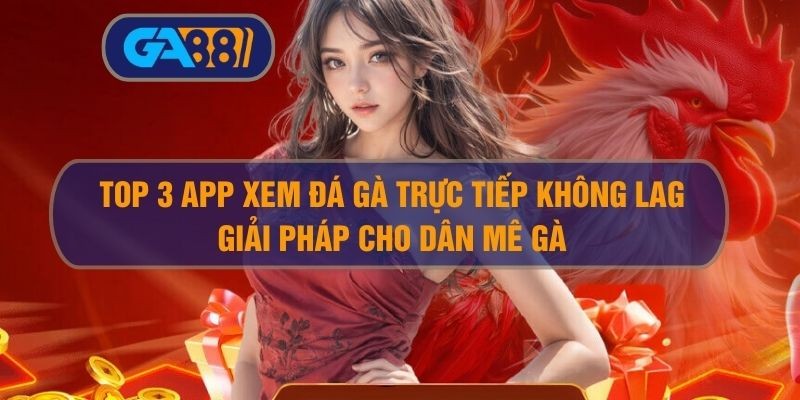 3BET Top 3 App Xem Đá Gà Trực Tiếp Không Lag – Giải Pháp Cho Dân Mê Gà
