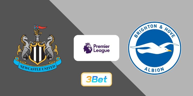 3BET Soi kèo Newcastle vs Brighton 21h00 ngày 02/05/2026 - Premier League